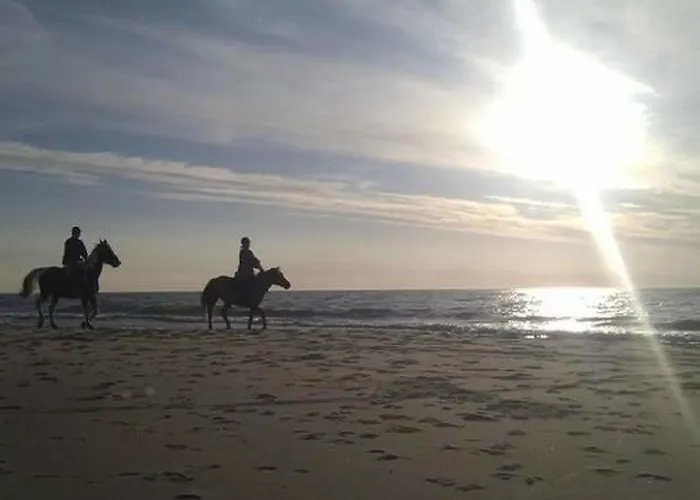 Hébergement de vacances Haus In Gmina Postomino Mit Garten Und Terrasse By Interhome